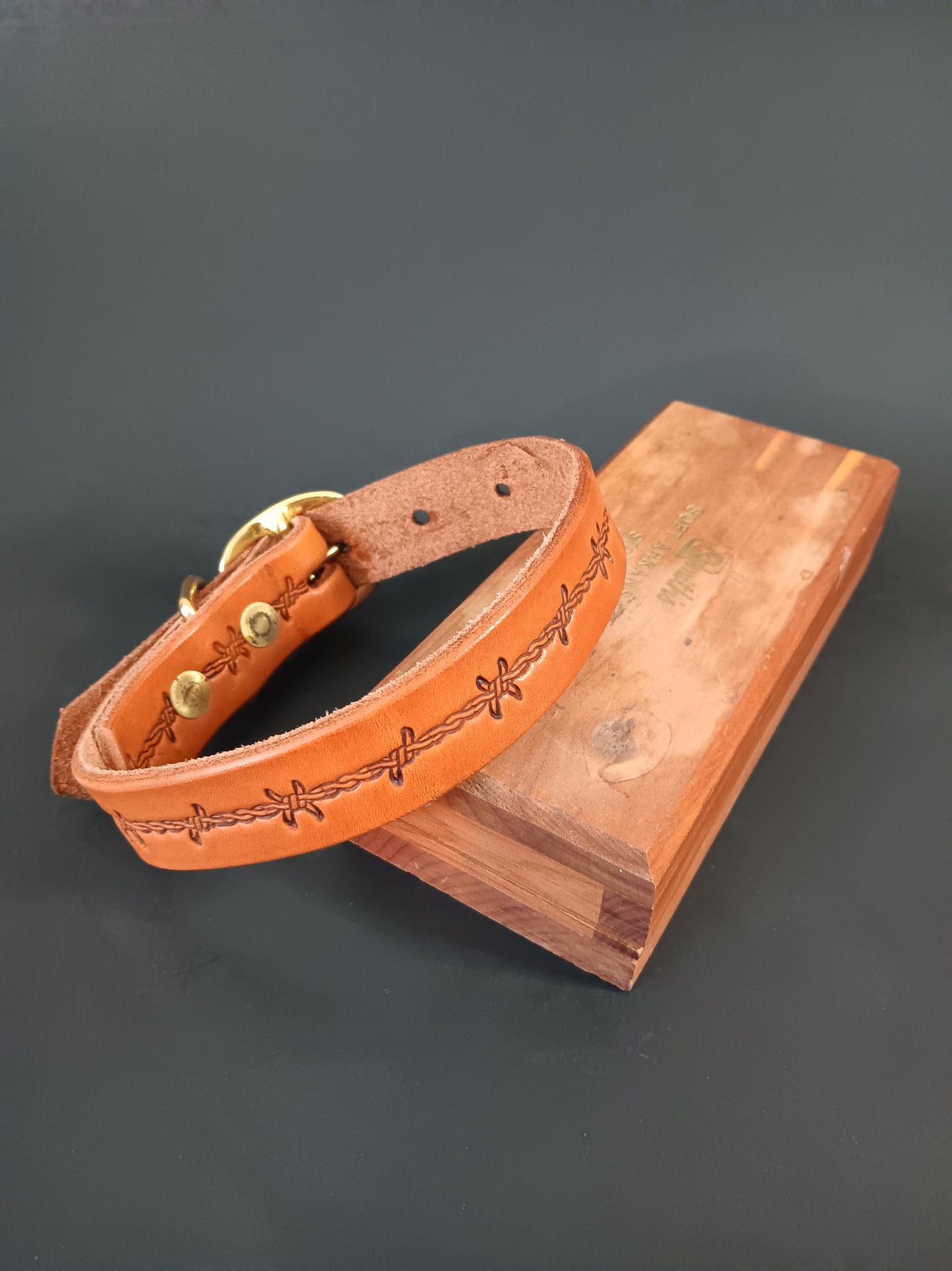 Barbed Wire Dog Collar