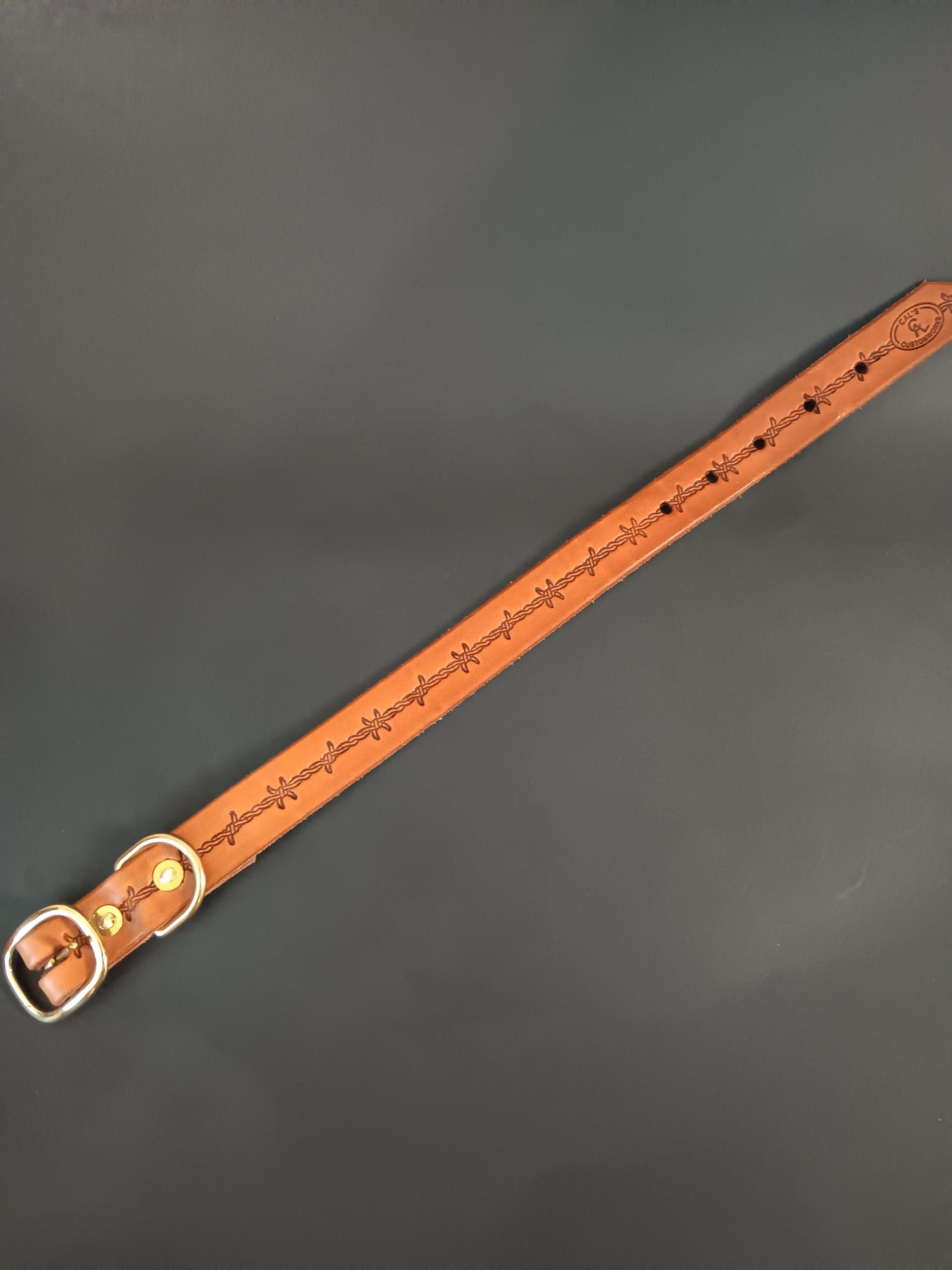 Barbed Wire Dog Collar