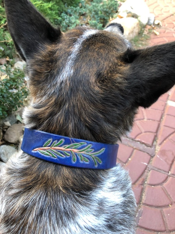 Custom Dog Collars