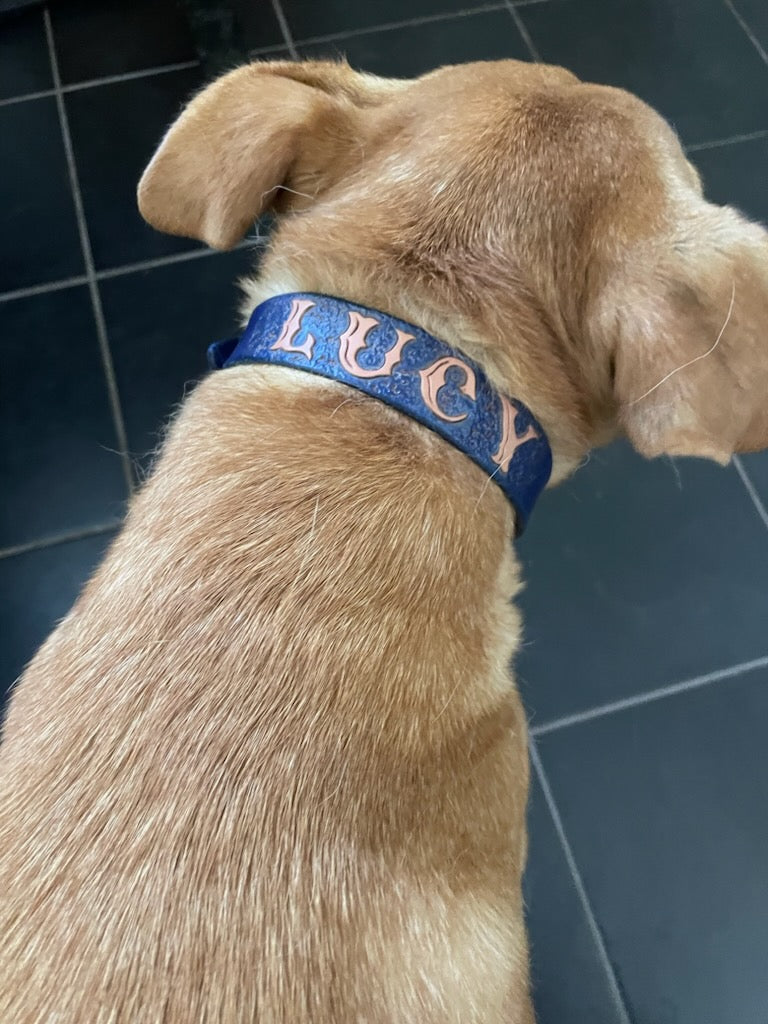 Custom Dog Collars